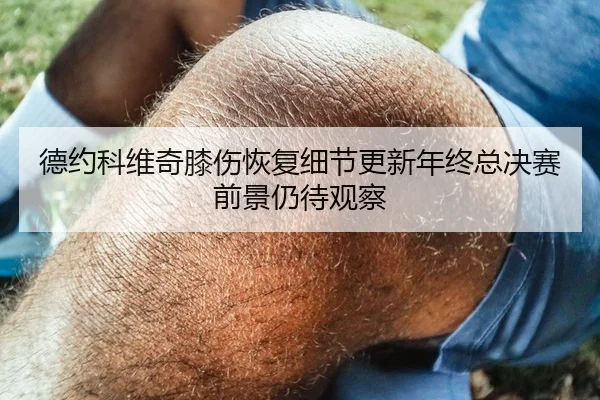 德约科维奇膝伤恢复细节更新年终总决赛前景仍待观察
